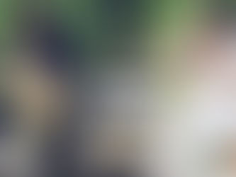 Создаём настроение на свадьбе: диджей или живая музыка