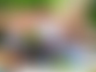 Небанальные идеи для отдыха, семейного досуга на выходные дни с детьми