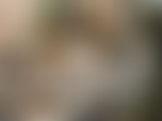 Рустик свадьба: деревенская простота и элегантность