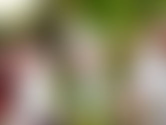 Необычная свадьба в стиле Whimsical: свадьбы не как у всех