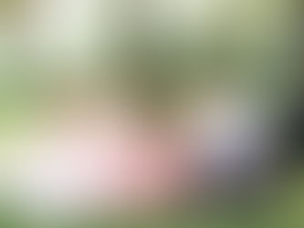 Свадьба только для своих: как устроить идеальное камерное торжество