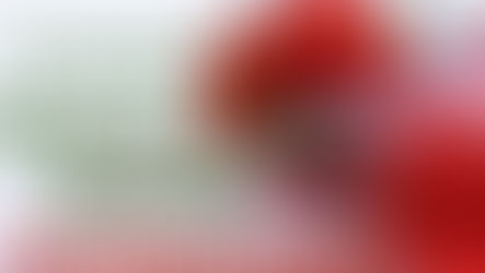 Коралловая (полотняная свадьба) 35 лет брака