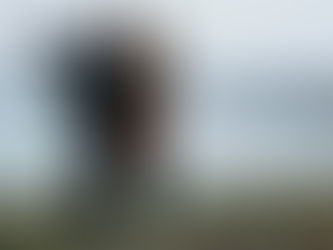 Как встретить свою любовь?