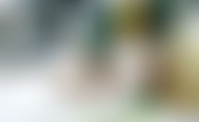 Как выбрать лучшее вино для вашей свадьбы?