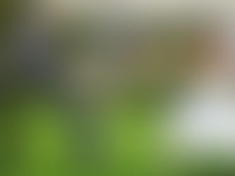 Креативные игры и развлечения для гостей на свадьбе