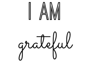 November 2020 Update / Gratitude