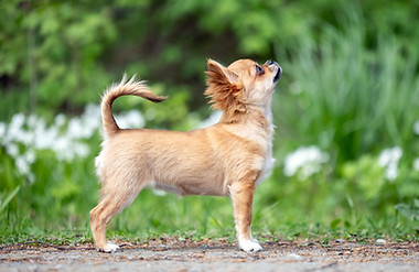 _O6A0410-Edit.jpg