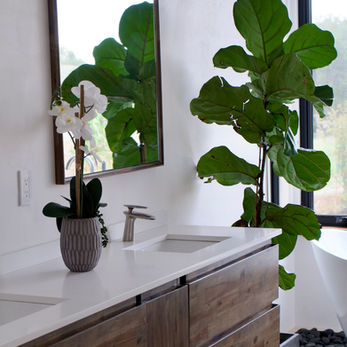 Home Staging 
Carmel-by-the-Sea, Monterey Peninsula, Carmel Valley Interior Design