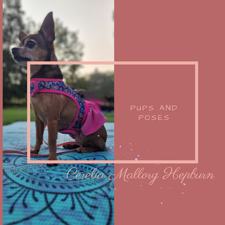 Pups And Poses