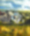 052B9393-8A18-4F22-833D-94CA36D6AD78_1_105_c_edited.jpg