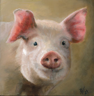 Pig