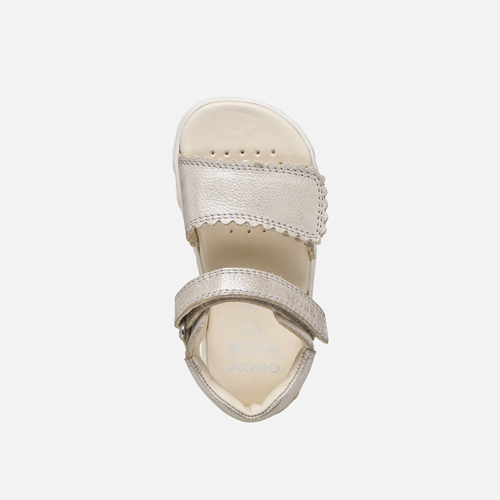Miniature : Geox / Steppieup