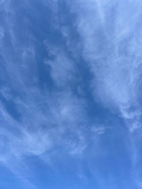 IMG-5487.jpg