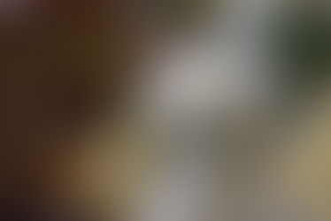 Dona Angola lança sua linha natalina com promoção Black November e descontos de até 50%