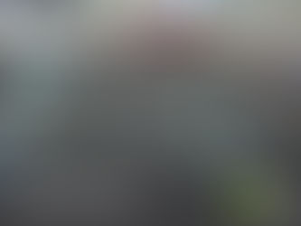 HOW TO PROTECT YOUR CAR FROM HAIL.