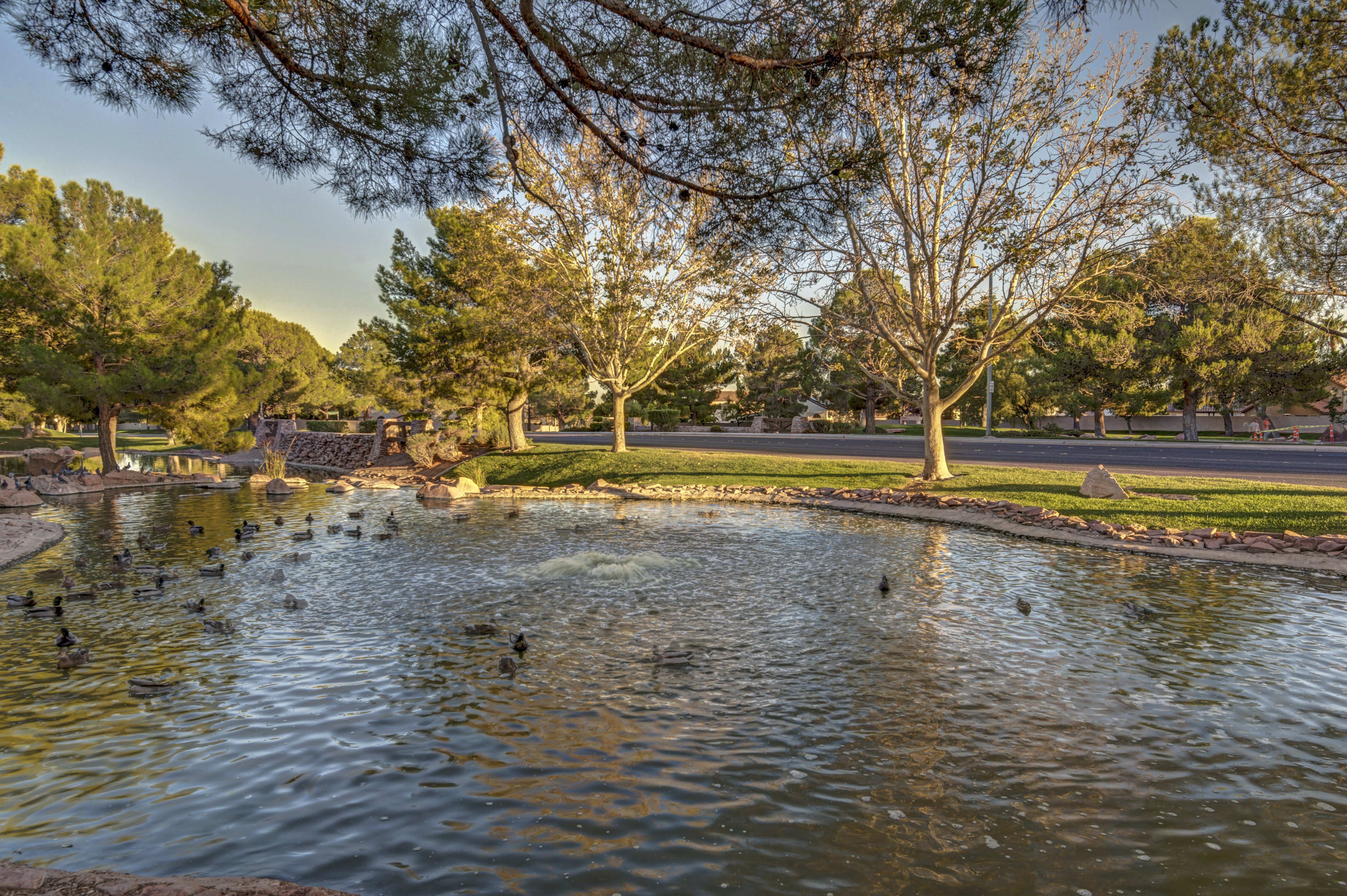 Community Pond