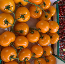 WhatsApp Image 2019-05-14 at 05.41.12.jpeg