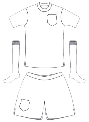 Badge and Kit pic_edited_edited.png