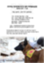 2018 구조견협회 하계합숙훈련