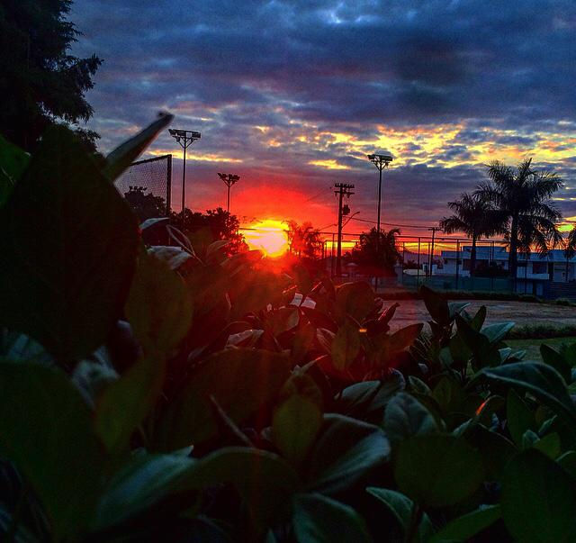 Miniatura: Portal do Japy