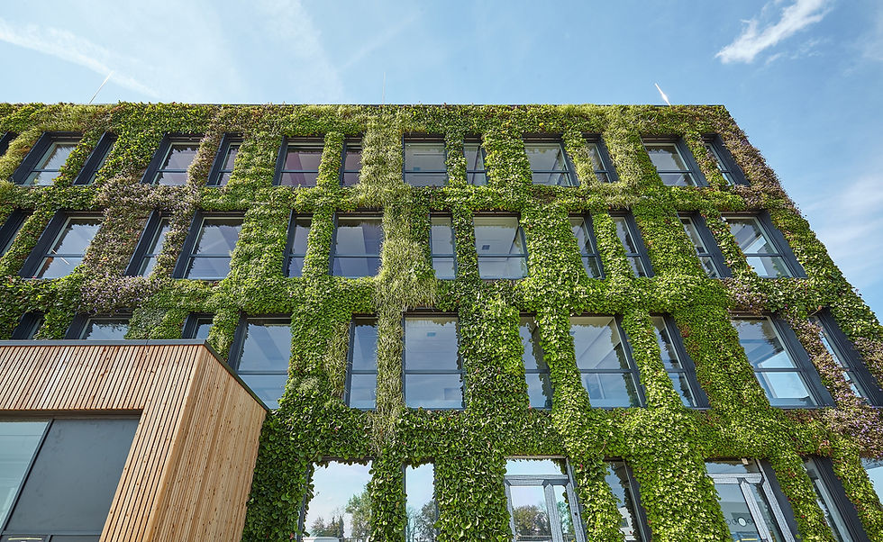 MAXIMISING EFFICIENCY IN FACADE PROJECT DELIVERY
