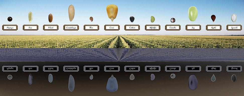 Monsanto Short List.jpg