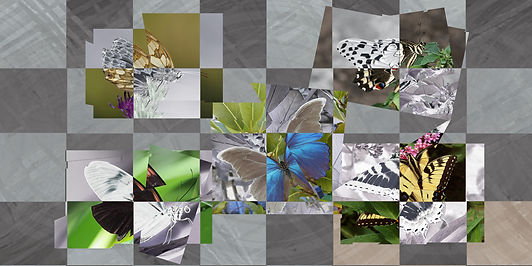 Butterflies Fractured.jpg