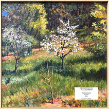 JCH_Gravenstein in Full Blossom_4-7-22.jpg