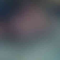 Coral reef formation