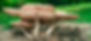 Mushrooms