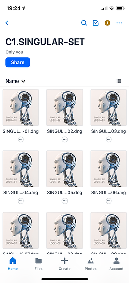 Install-DNG-Presets-with-Dropbox-Image1.
