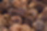 pexels-visually-us-1588003.jpg
