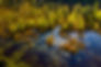 iStock-1069531592.jpg
