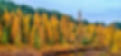 iStock-1388623448_edited_edited.jpg
