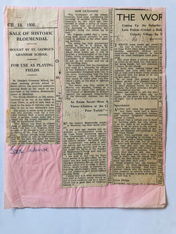 1936 - Newspaper Clippings from the Cape