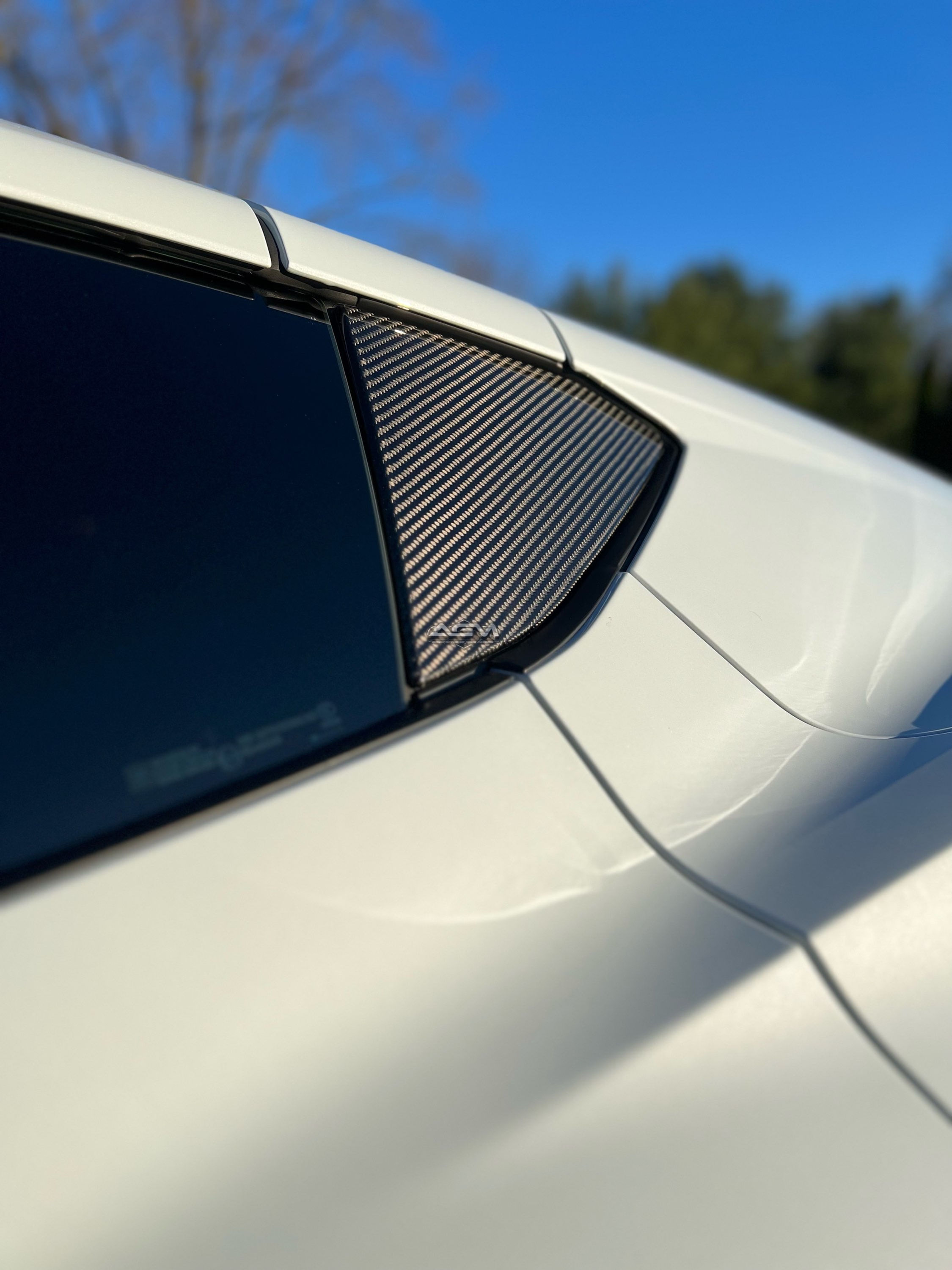 AGM C8 Corvette Carbon A & B Pillar Covers (Coupe & HTC, All Models)