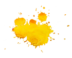 macchia3.png