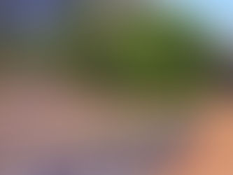 ☁山本二三美術館 秋の花畑☁