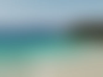 📺【動画】山本二三美術館のご紹介📺