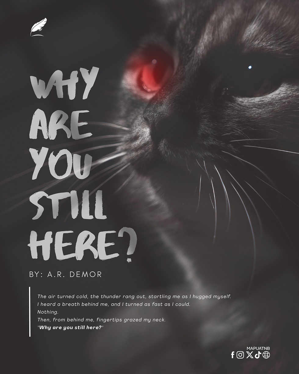 Why Are You Still Here?