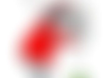 LAS REMESAS EXPATRIADAS