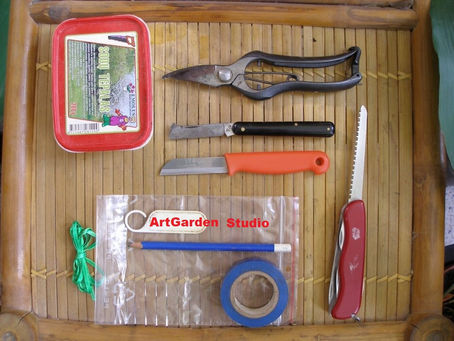 Gyvas įskiepių bankas. Kviečiu mokytis skiepyti online!