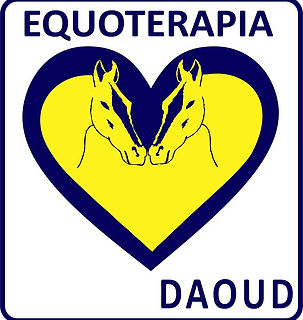 novo rumo.png