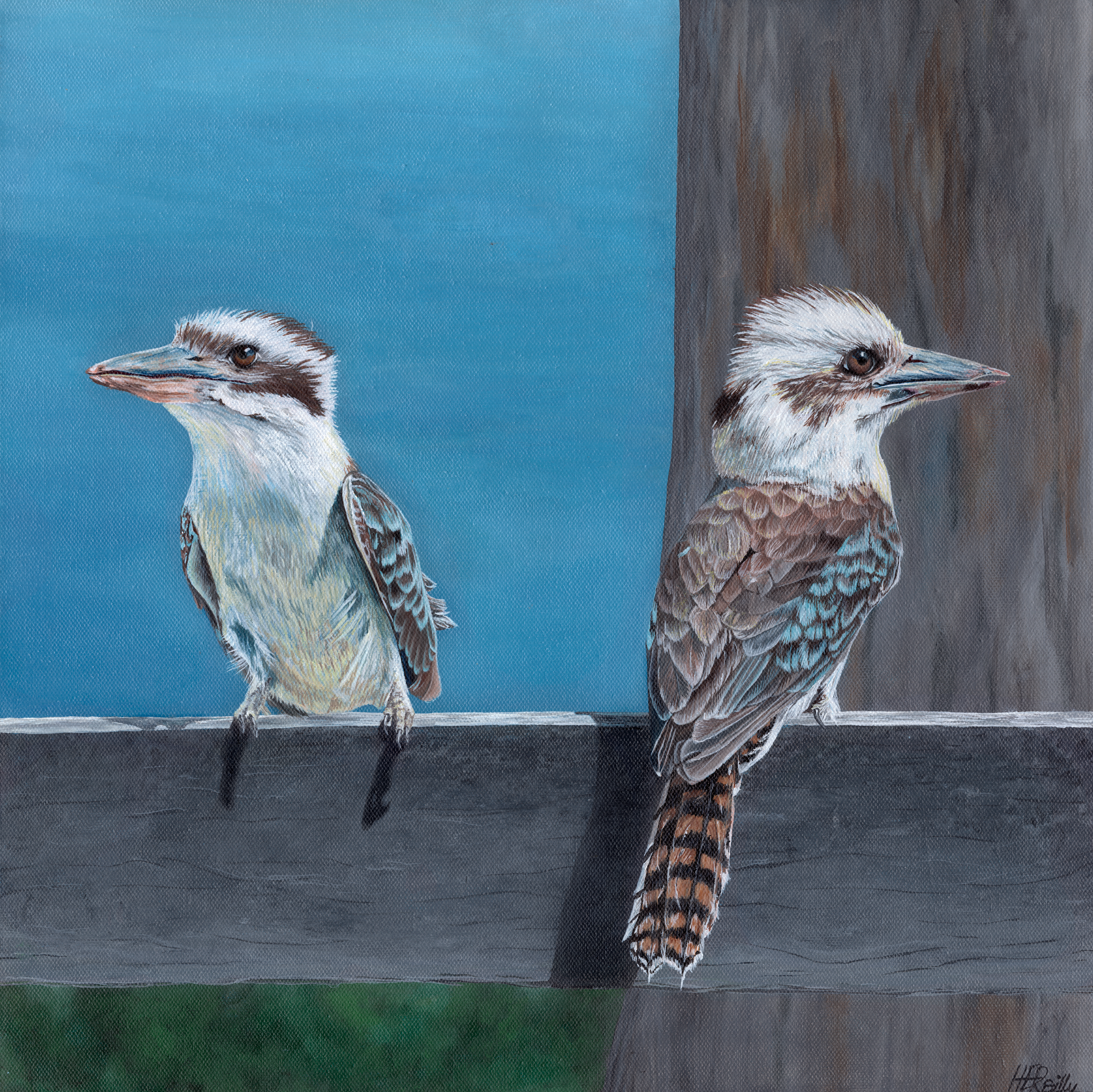 A4 Print Kookaburras