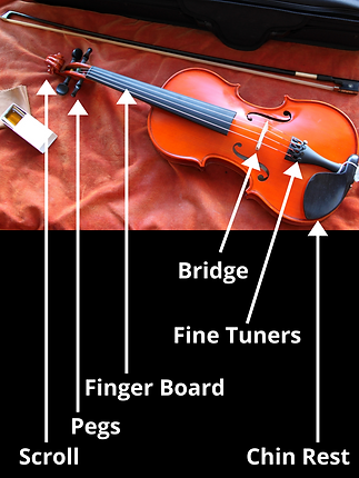 basic-string-instrument-anatomy (1).png