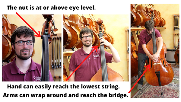 Bass sizing pictures (2).png