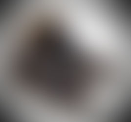 Myrqvist and the Quiet Geometry of Scandinavian Footwear.