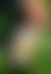 Photo of Fielden Whisky