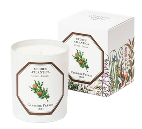 Photo of Carrière Frères candle fragrance cedar diffuser olfactory delights