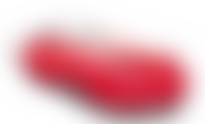 Erwin Wurm: A Whimsical Expedition into Artistic Provocation.